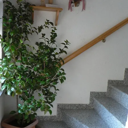 Ferienwohnung Teubner Bockau Buitenkant foto